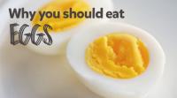 why-you-should-include-eggs-in-your-diet