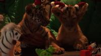 lion-and-tiger-cubs-dress-up-in-santa-hats-in-south-korea