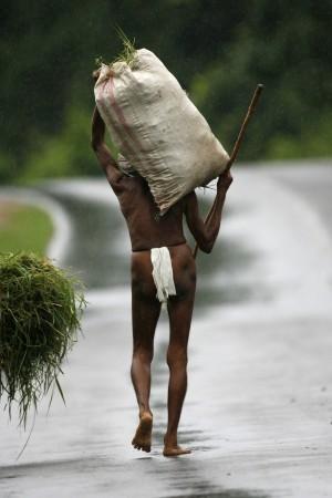 A tribal farmer carries his load on a road in the Koraput district in the Indian state of Orissa. Thousands of farmers have committed suicide in recent years across India's sprawling western and southern plateau because they could not repay loans taken for their crops. An imporvished Indian farmer