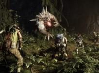 evolve img 1