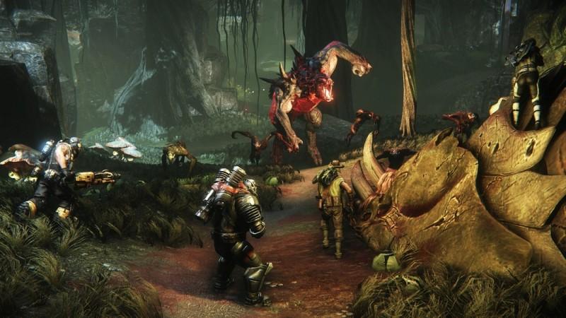 evolve img 2