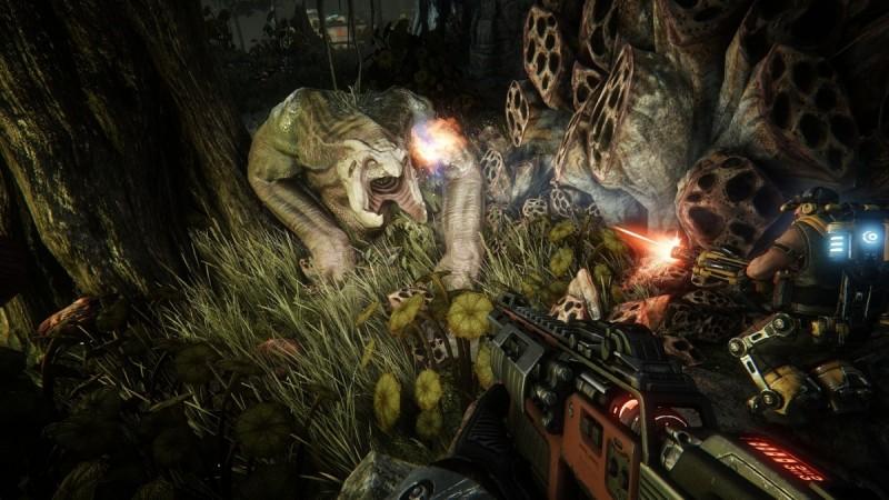 evolve img 3