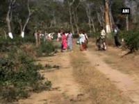 tea-plantation-workers-in-assam-return-to-work-after-militant-attack