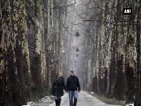 festive-season-stress-top-reason-behind-split-among-couples