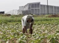 A farm worker next to the Tata Motor's mothballed plant in West Bengal