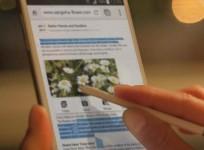 Android Lollipop Roadmap For Samsung Smartphones: Galaxy Note 4, Galaxy S6, Galaxy S5 Due For Upgrade