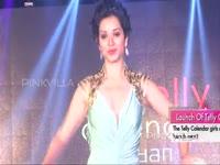 launch-of-telly-calendar-2015