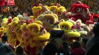 lion-dances-mark-the-start-of-2015-in-hong-kong