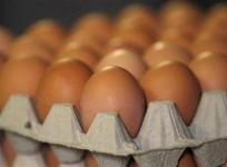 Eggs
