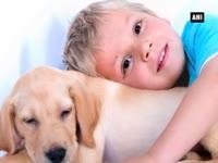pets-may-help-autistic-children-to-be-more-assertive