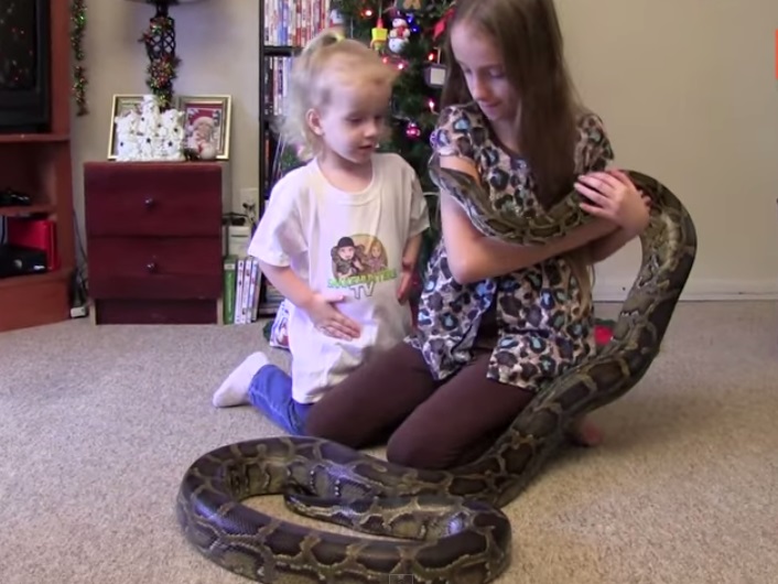 Kids playing with 13-Foot-Long Python 13-Foot-Long Python Scary Video Goes Viral