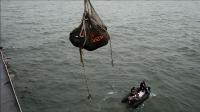 rescue-teams-continue-search-for-victims-of-doomed-airasia-plane