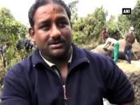 forest-officials-rescue-injured-elephant-in-west-bengal