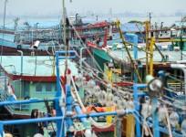 fishing boats