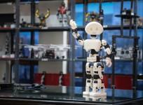 India's First 3D Printed Humanoid Robot 'Manav' Launched at IIT Mumbai TechFest 2015