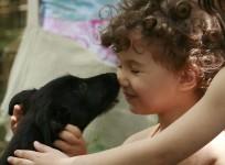 pet, dog and kid