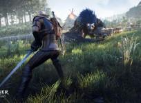 Witcher img 1