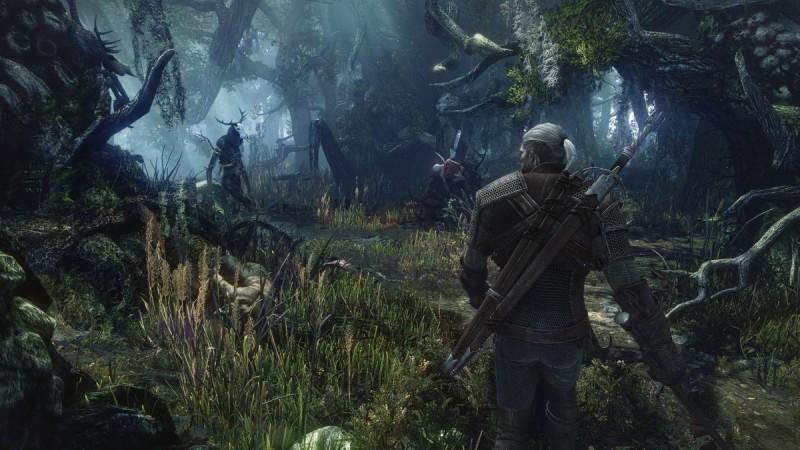 Witcher img 2