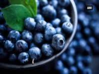 A cup of blueberries a day helps reduce risk of heart disease A cup of blueberries a day helps reduce risk of heart disease