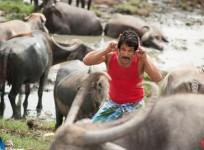 Vikram
