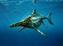 Marine creatures