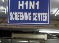 swine flu