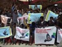social-activists-protest-kite-flying-with-glass-strings-due-to-birds-killing