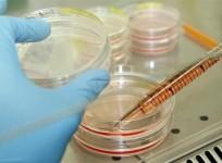 Science Laboratory