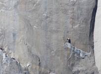 rock climber Kevin Jorgeson