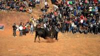 bullfighting-annual-festival-draws-big-crowds-in-nepal