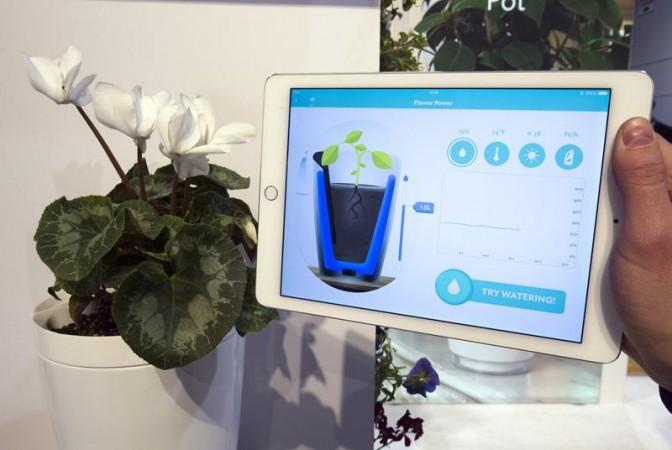 Information sent from a Parrot Pot is shown on a tablet during the 2015 International Consumer Electronics Show Information sent from a Parrot Pot is shown on a tablet during the 2015 International Consumer Electronics Show