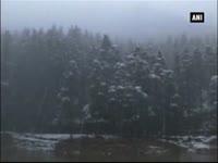 cold-weather-conditions-disrupt-normal-life-in-northern-india