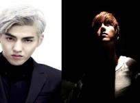 Luhan Kris