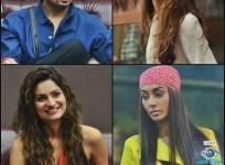 Bigg Boss 8