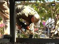 ied-blast-in-imphal-no-casualties-reported