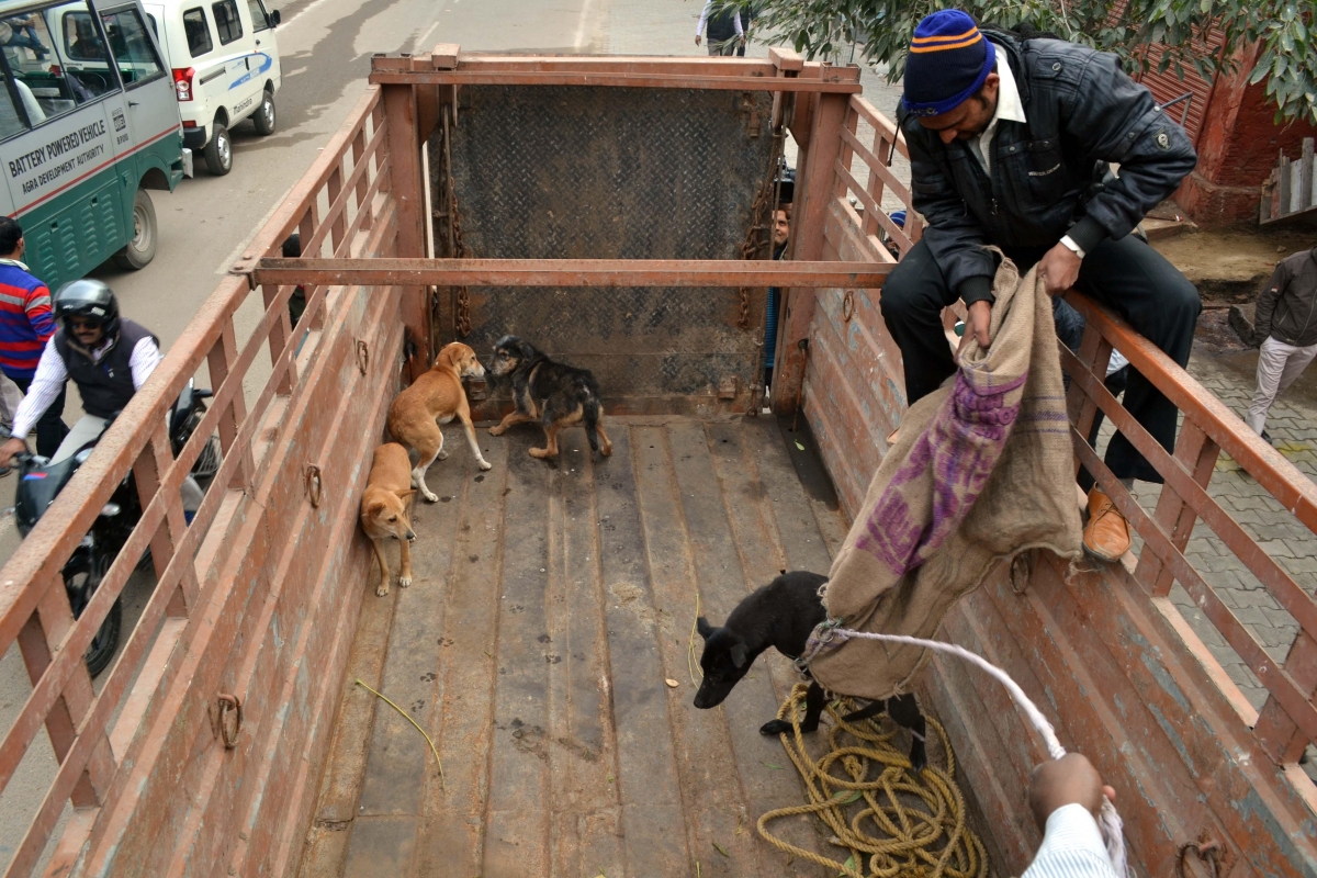Barack Obama India Visit Security Measures