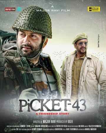 Picket 43