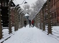 Holocaust Memorial Day
