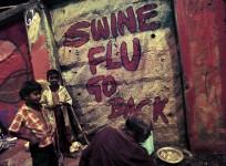 Swine flu