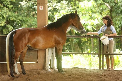 Jazqueline Fernandez Jazqueline Fernandez