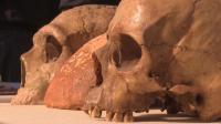 mideast-skull-find-sheds-light-on-human-ancestors-trek