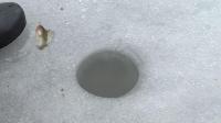 ice-fishing-only-way-to-catch-some-rest-in-east-ukraine