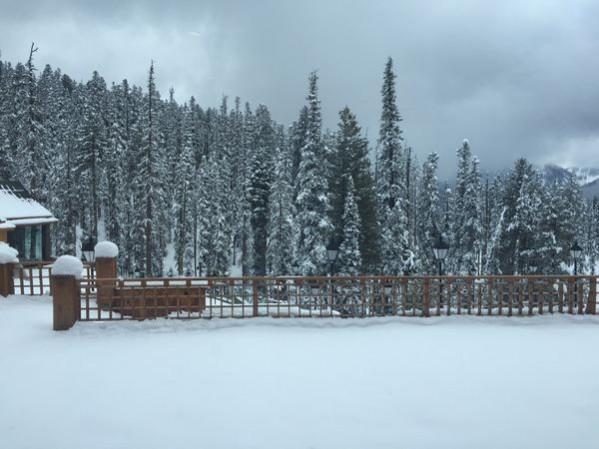Jammu and Kashmir snowfall Condition of Jammu and Kashmir due to heavy snowfall