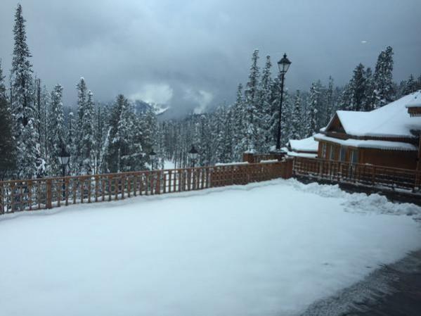 Jammu and Kashmir snowfall Jammu and Kashmir snowfall