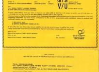 Censor Board certificate for music video of 'Sorry'