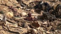 remains-of-more-than-20-yazidis-found-in-iraq-mass-grave