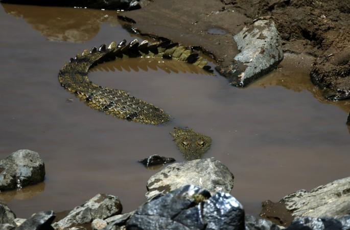 Mubarak Batambuze killed the crocodile that killed his wife and unborn child. Man fights crocodile to avenge his wife