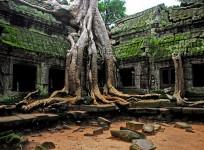 Angkor temple