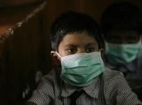 swine flu