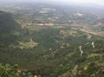 Nandi Hills